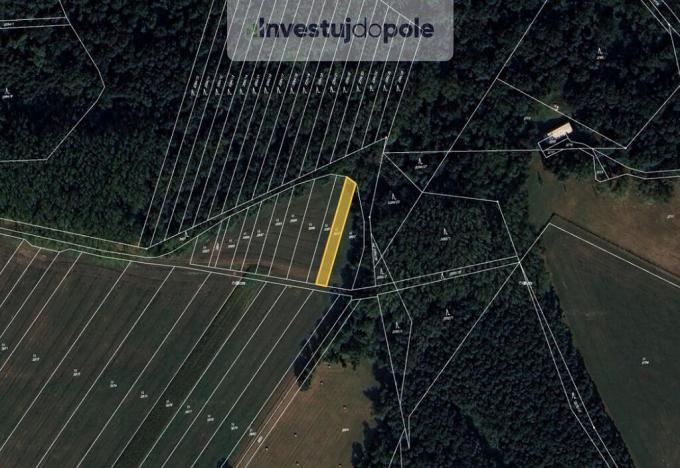 Prodej pole, Moravský Písek, 571 m2