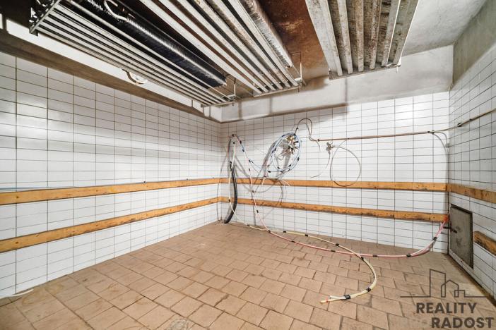 Prodej restaurace, Řečany nad Labem, 1. máje, 320 m2