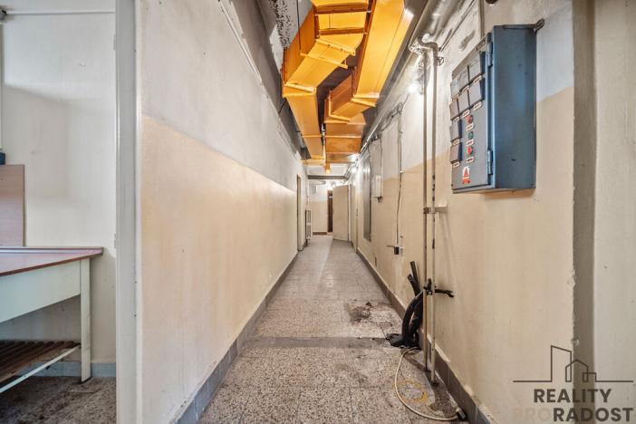 Prodej restaurace, Řečany nad Labem, 1. máje, 320 m2