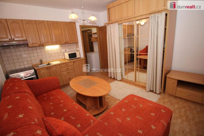 Pronájem bytu 1+kk, Mariánské Lázně - Úšovice, Tepelská, 20 m2