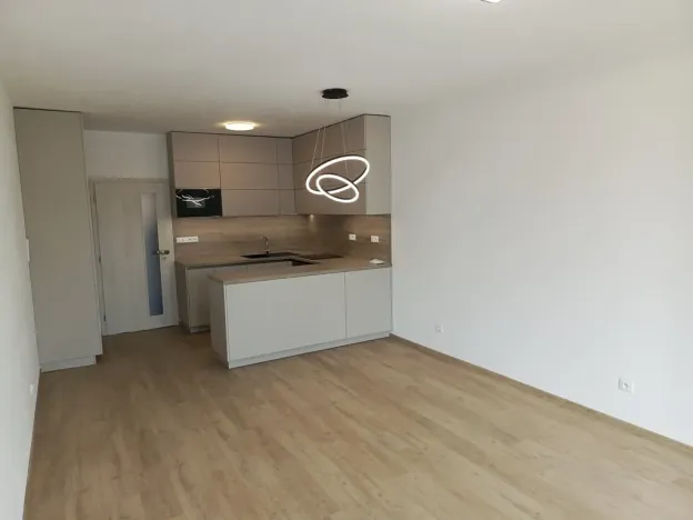 Pronájem bytu 2+kk, České Budějovice - České Budějovice 3, Riegrova, 64 m2