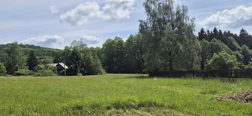 Prodej pozemku pro bydlení, Polevsko, 1345 m2