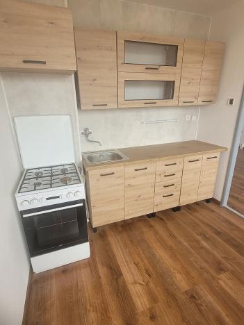 Pronájem bytu 2+1, Bílina, Aléská, 59 m2