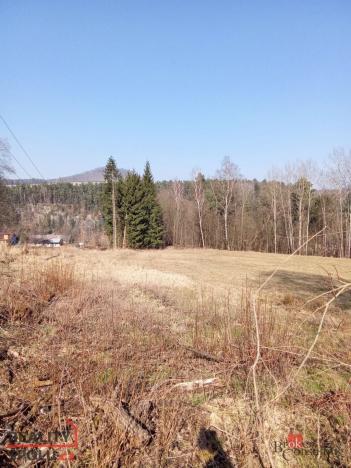 Prodej pozemku pro bydlení, Janská, 22894 m2
