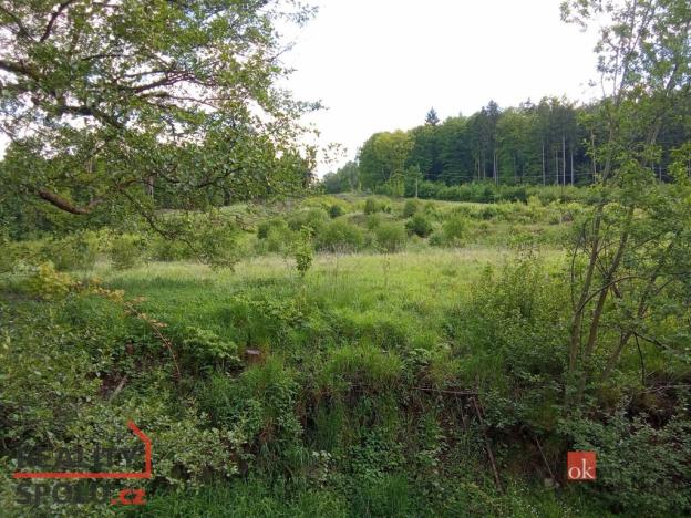 Prodej pozemku pro bydlení, Janská, 22894 m2