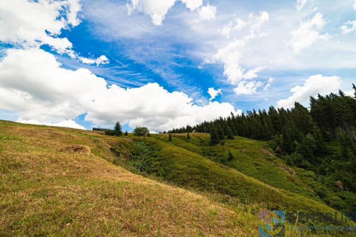 Prodej ubytování, Strážné, 1087 m2