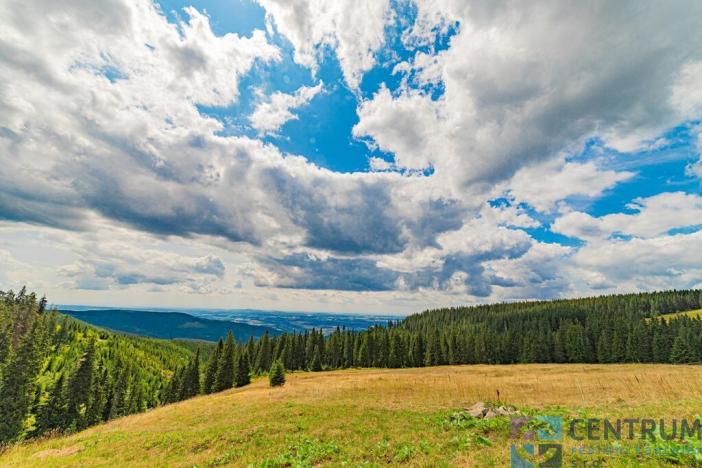 Prodej ubytování, Strážné, 1087 m2