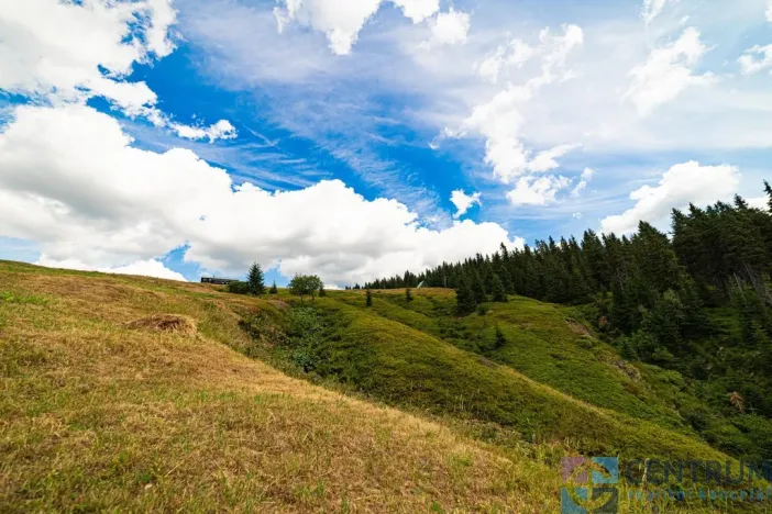 Prodej ubytování, Strážné, 1087 m2