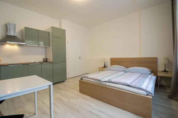 Pronájem bytu 1+kk, Praha - Nové Město, Na zbořenci, 27 m2