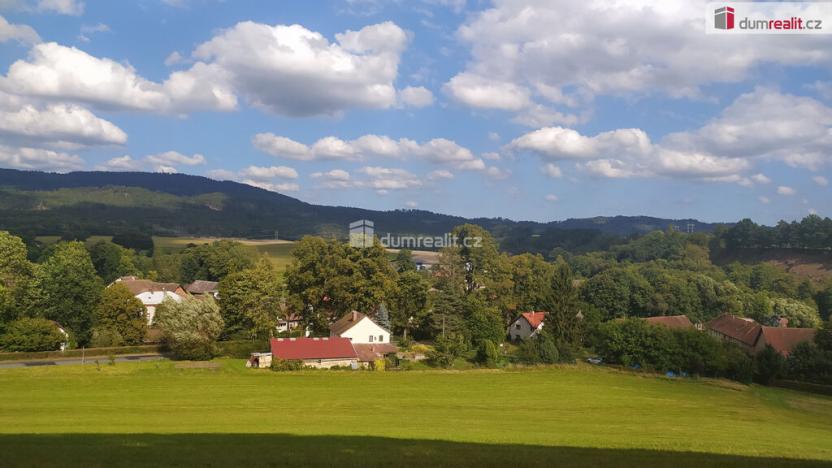 Prodej zemědělského objektu, Bílá - Petrašovice, 4386 m2