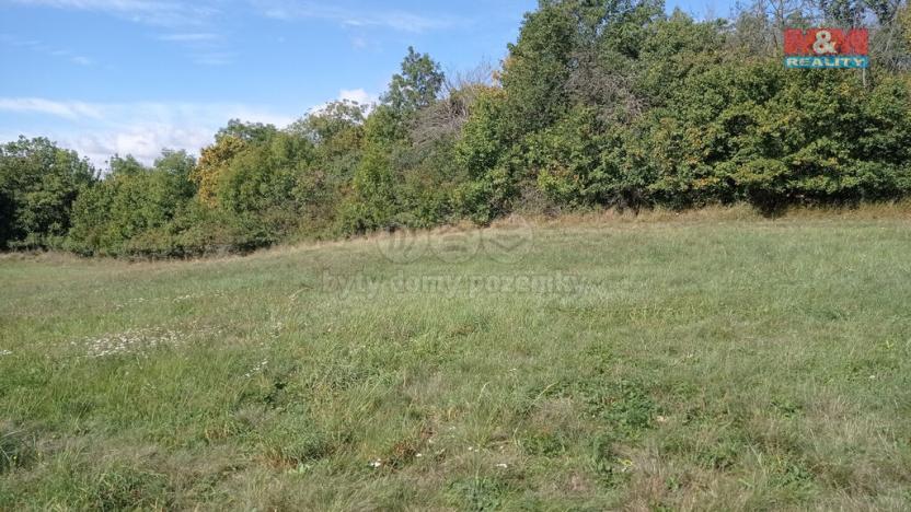 Prodej louky, Jenčice, 13227 m2