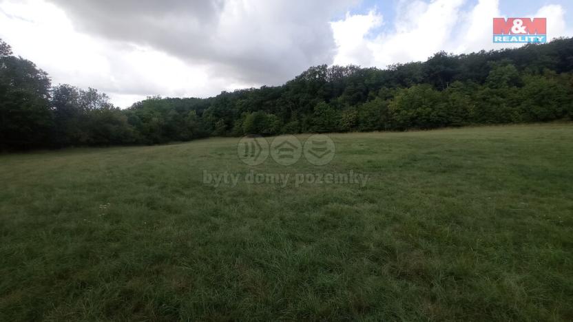 Prodej louky, Jenčice, 12373 m2