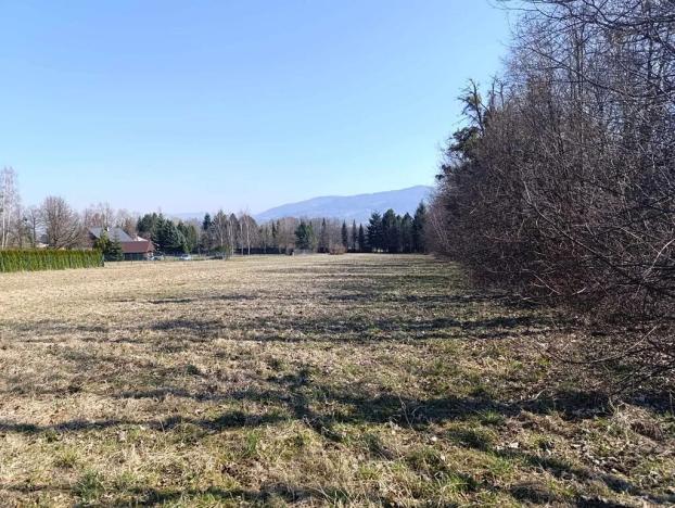Prodej pozemku pro bydlení, Pstruží, 6487 m2
