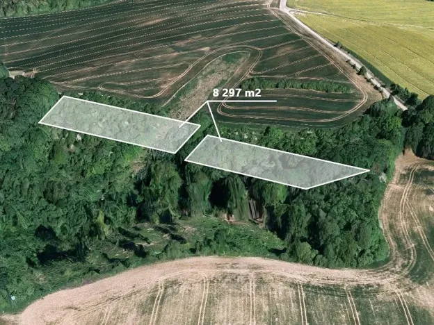 Prodej pole, Halenkovice, 8297 m2
