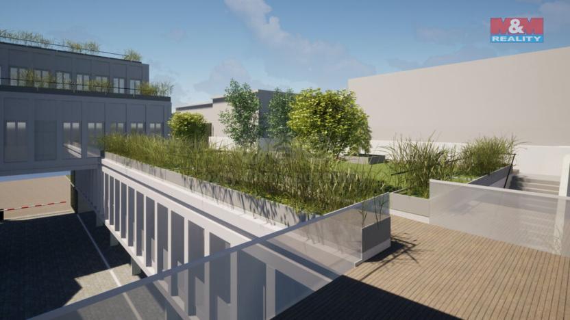 Pronájem obchodního prostoru, Opava - Město, Masarykova třída, 160 m2