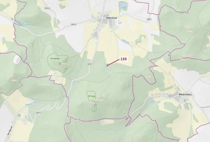 Dražba lesa, Němčice, 1636 m2
