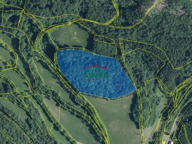Prodej lesa, Stráž nad Ohří, 36852 m2