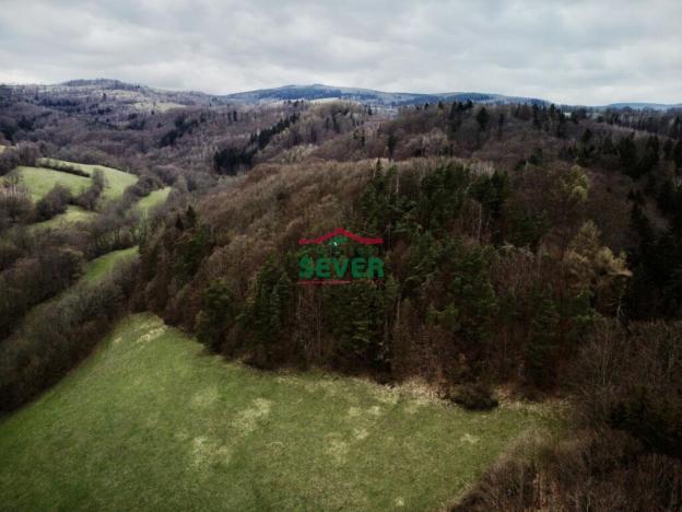 Prodej lesa, Stráž nad Ohří, 36852 m2