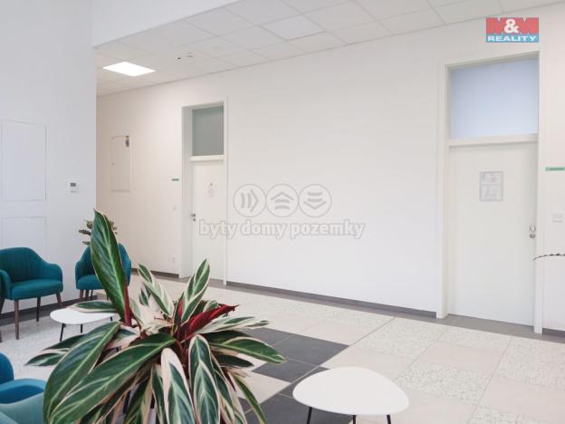 Pronájem obchodního prostoru, Opava - Město, Masarykova třída, 50 m2