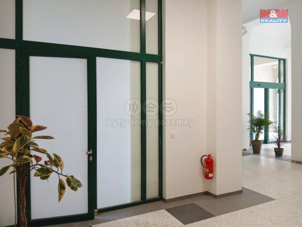 Prodej obchodního prostoru, Opava - Město, Masarykova třída, 160 m2