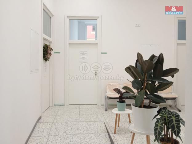 Prodej obchodního prostoru, Opava - Město, Masarykova třída, 120 m2