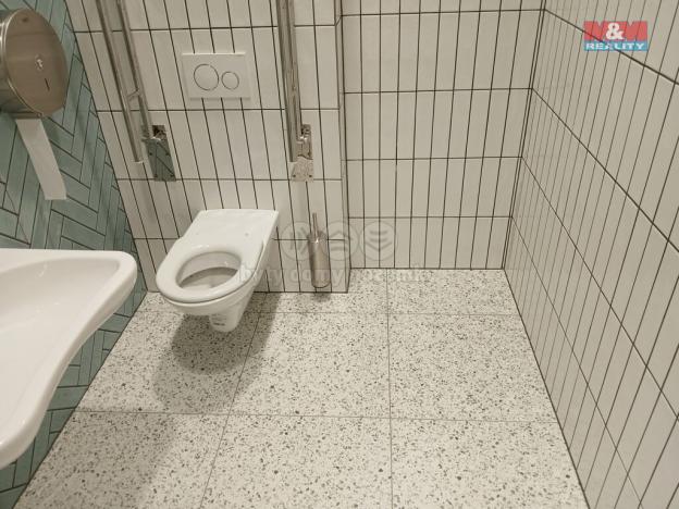 Prodej obchodního prostoru, Opava - Město, Masarykova třída, 30 m2