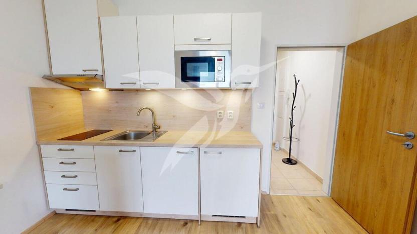 Pronájem bytu 1+kk, Plzeň, Technická, 28 m2