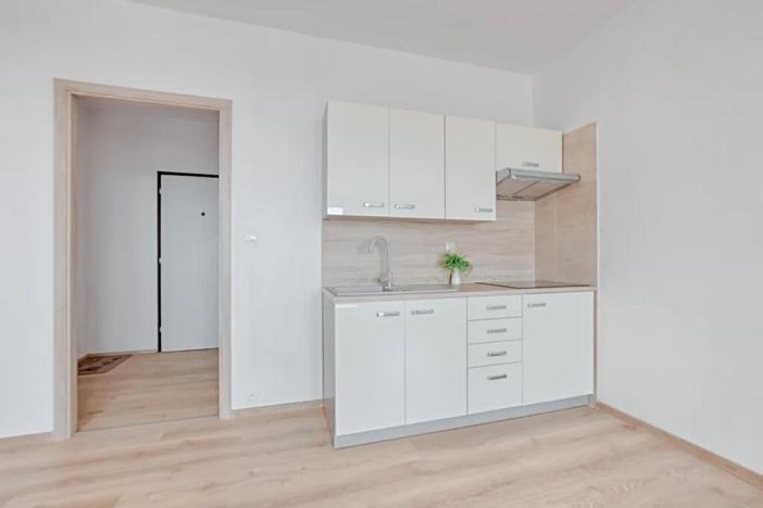Pronájem bytu 1+kk, Orlová, Adamusova, 33 m2