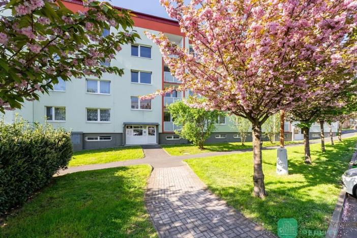 Prodej bytu 2+kk, Osek, Sokolská, 43 m2