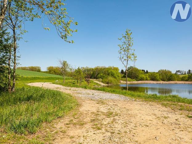 Prodej louky, Olešník, 2512 m2