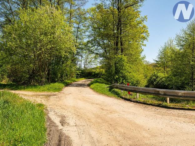 Prodej louky, Olešník, 2512 m2