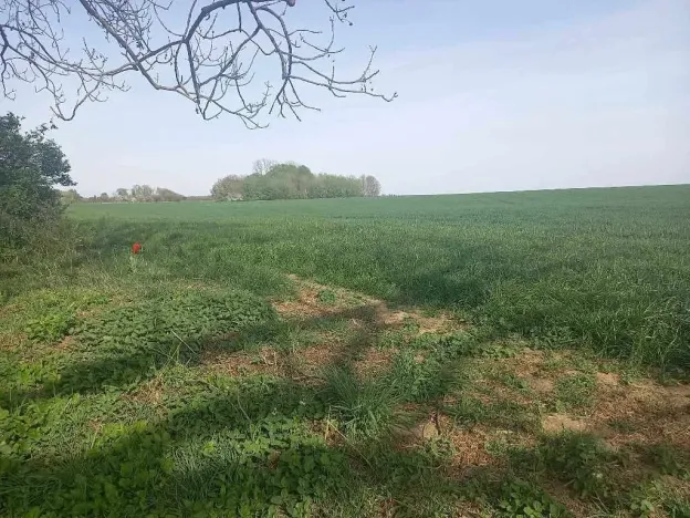 Prodej pozemku pro bydlení, Tvarožná, 750 m2