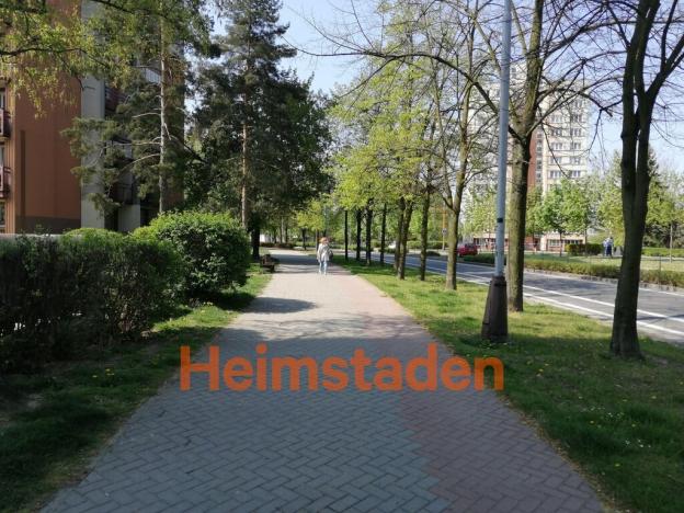 Pronájem obchodního prostoru, Orlová - Lutyně, Masarykova třída, 20 m2