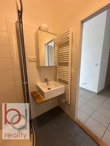 Pronájem bytu 1+1, České Budějovice, Matice školské, 38 m2