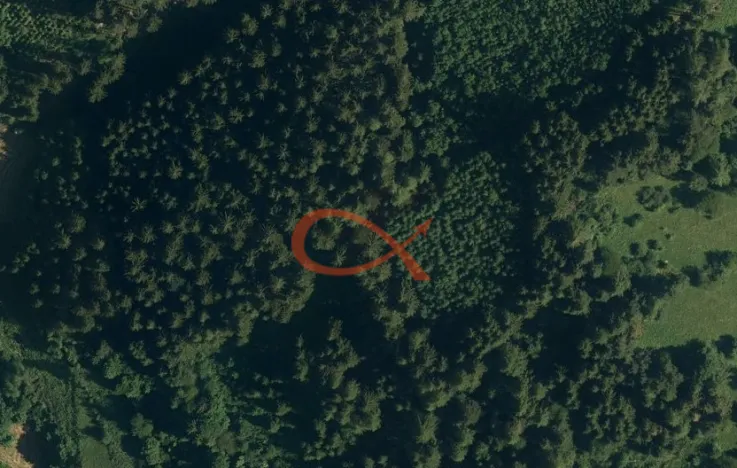 Prodej lesa, Nový Hrozenkov, 36473 m2