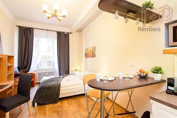 Pronájem bytu 1+kk, Praha - Nové Město, Ve Smečkách, 23 m2