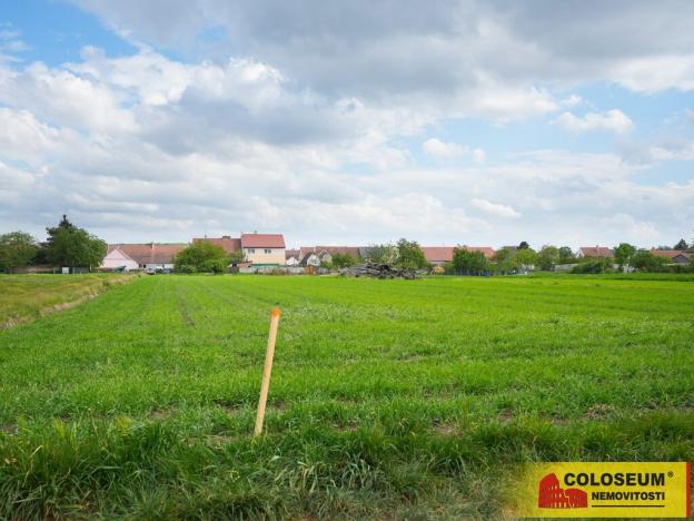 Prodej pole, Brod nad Dyjí, 2647 m2