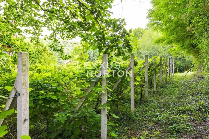 Prodej rodinného domu, Roztoky, Tiché údolí, 70 m2