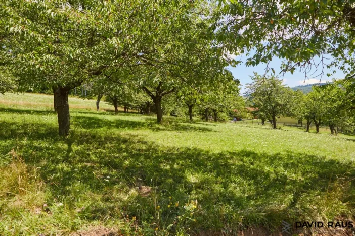 Prodej pozemku pro bydlení, Vyškovec, 2226 m2