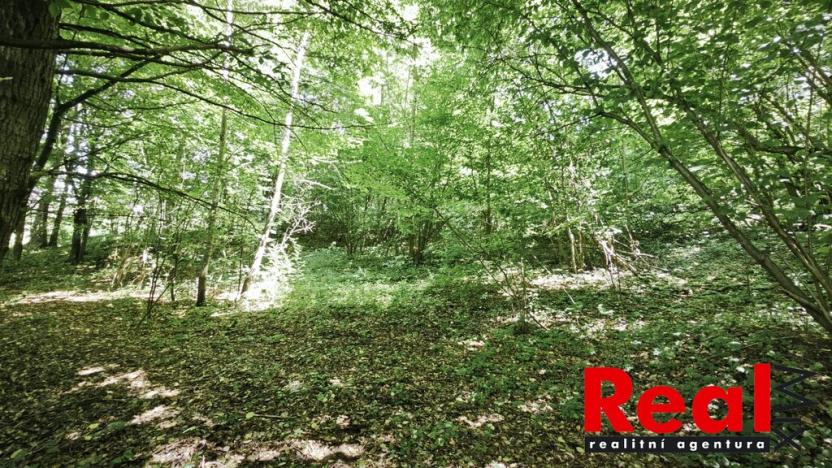 Prodej zahrady, Blansko - Lažánky, 1173 m2