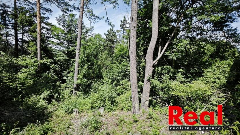 Prodej zahrady, Blansko - Lažánky, 1173 m2