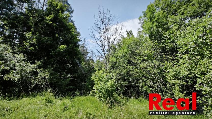 Prodej zahrady, Blansko - Lažánky, 1173 m2