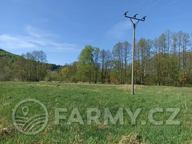 Prodej louky, Stráž pod Ralskem, 60096 m2