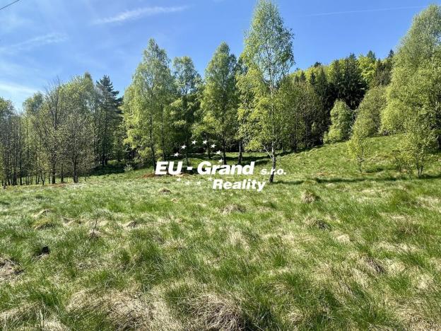 Prodej rodinného domu, Mařenice - Dolní Světlá, 160 m2