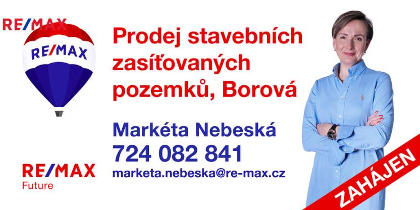 Prodej pozemku pro bydlení, Borová, 1045 m2