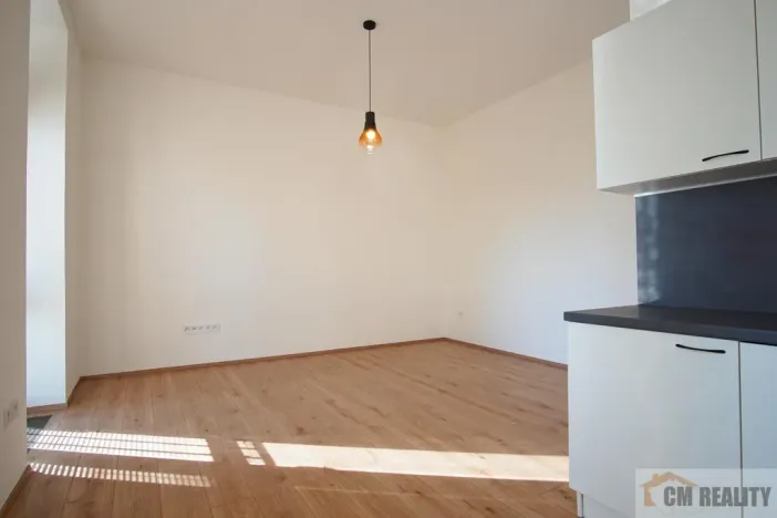 Pronájem bytu 2+kk, Olomouc - Hodolany, Holická, 52 m2