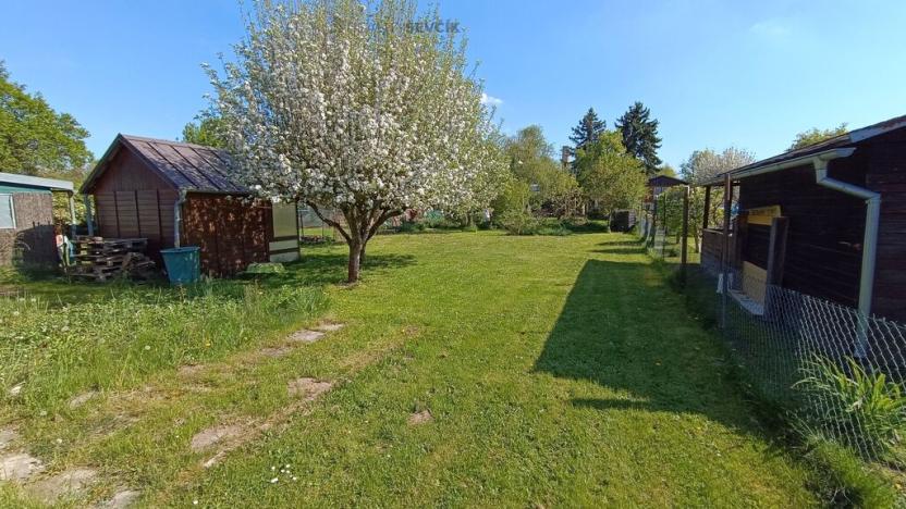 Prodej zahrady, Planá, 383 m2