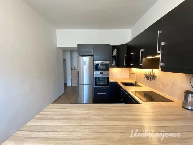 Pronájem bytu 1+1, Praha - Nusle, V Horkách, 52 m2