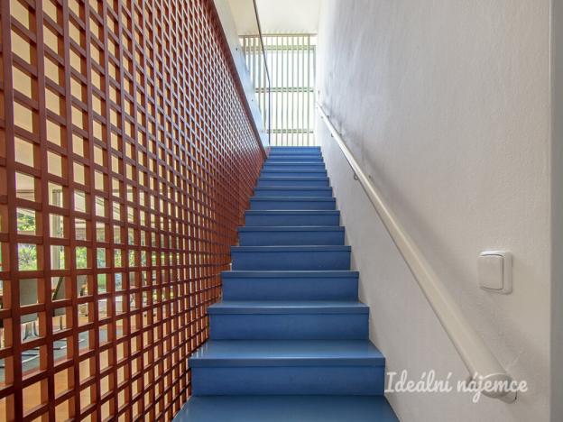 Pronájem rodinného domu, Šestajovice, K Úvozu, 280 m2