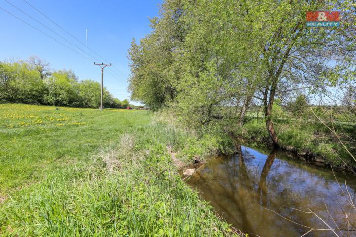 Prodej louky, Horní Bříza, U Kapličky, 4590 m2